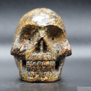 Leopard Jasper Human Skull (LSJ04)