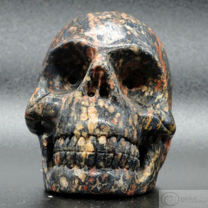 LeopardSkin Jasper Human Skull (LSJ01)