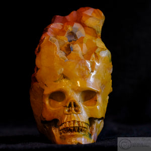 Mookaite Human Skull (Mook04)