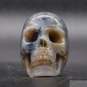 Moss Agate Human Skull (MA06)