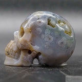 Moss Agate Human Skull (MA06)