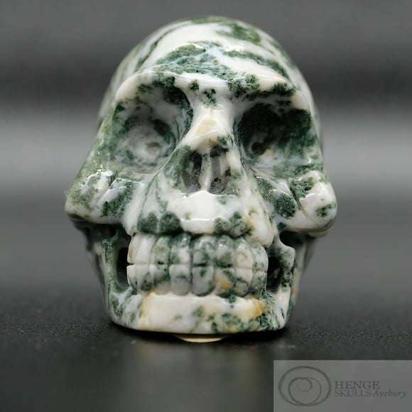 Moss Agate Human Skull (MA03)
