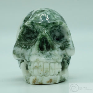 Moss Agate Human Skull