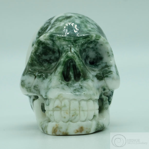 Moss Agate Human Skull