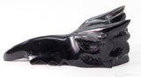 Black Obsidian Phoenix Skull