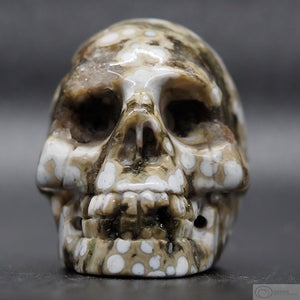 Ocean Jasper Human Skull