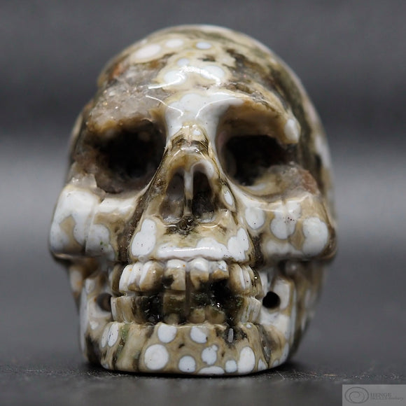 Ocean Jasper Human Skull