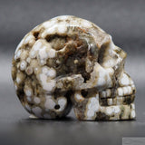 Ocean Jasper Human Skull