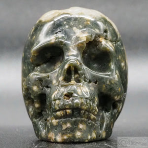 Ocean Jasper Human Skull (OJ14)