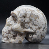 Ocean Jasper Human Skull (OJ12)