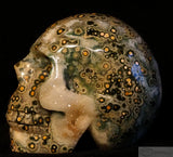 Ocean Jasper Human Skull (OJ13)