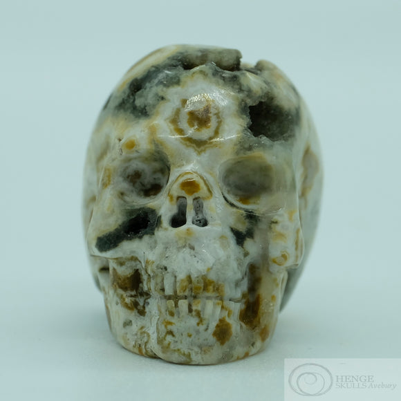 Ocean Jasper Human Skull