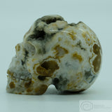 Ocean Jasper Human Skull