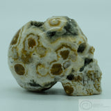 Ocean Jasper Human Skull