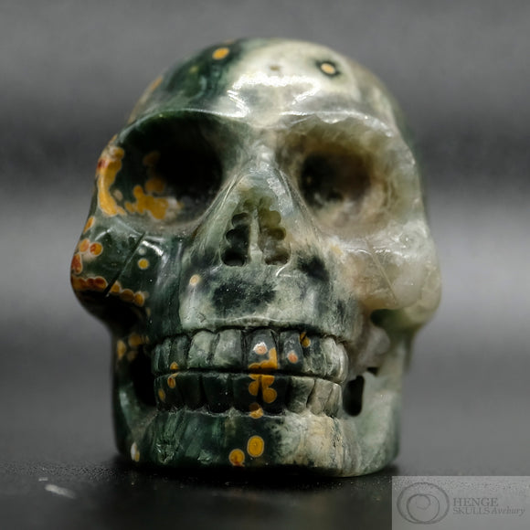 Ocean Jasper Human Skull (OJ08)