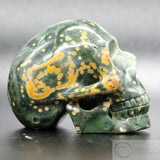 Ocean Jasper Human Skull (OJ08)