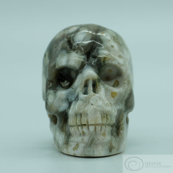 Ocean Jasper Human Skull