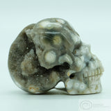 Ocean Jasper Human Skull