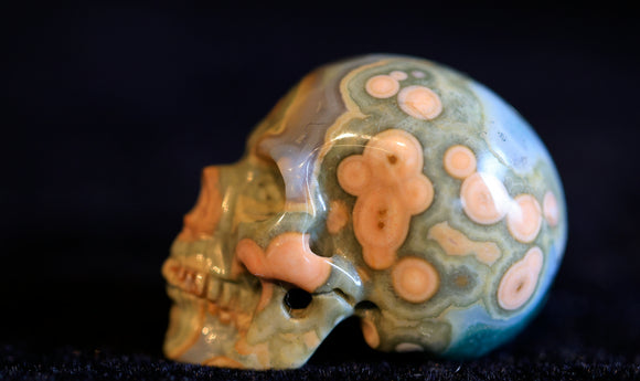 **Reserved for Mary** Ocean Jasper Skull