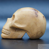 Olive Tree Wood Human Skull