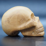 Olive Tree Wood Human Skull