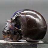 Opal Human Skull (Op06)