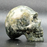 Preseli Blue Stone Human Skull (PBS01)