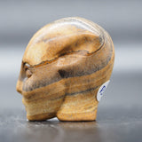 Picture Jasper Star Elfin (PJ21)