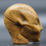 Picture Jasper Star Elfin (PJ22)