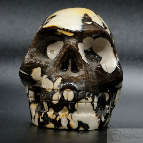 Petrified Peanut Wood Human Skull