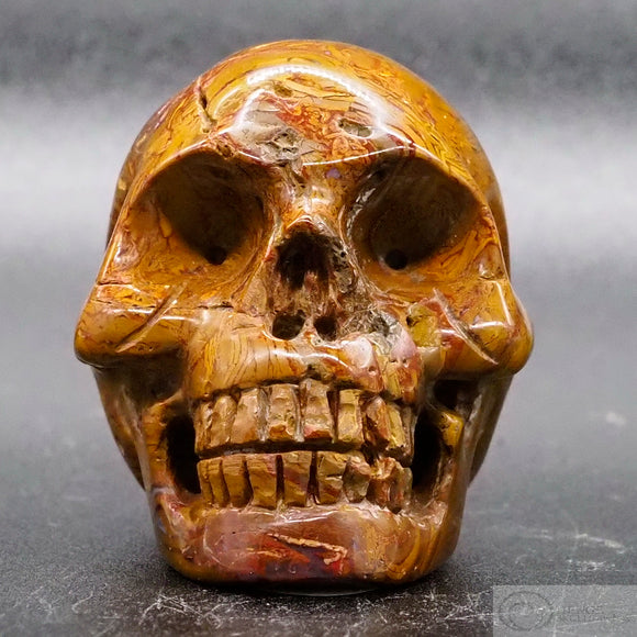 Picture Jasper Human Skull (PicJ02)