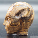 Picture Jasper Star Elfin (PJ11)