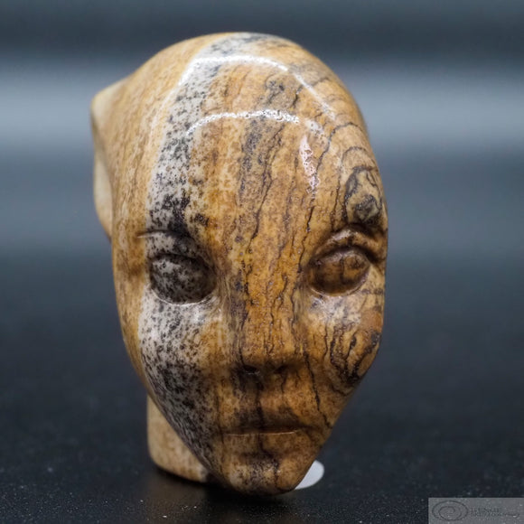 Picture Jasper Star Elfin (PJ18)