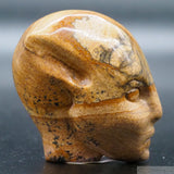 Picture Jasper Star Elfin (PJ14)