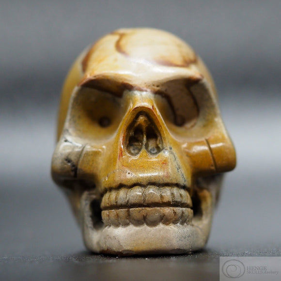 Picture Jasper Human Skull (PicJ01)