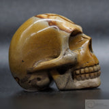 Picture Jasper Human Skull (PicJ01)