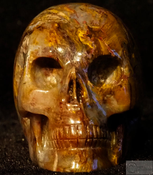 Pietersite Human Skull (Pie28)
