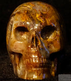 Pietersite Human Skull (Pie28)