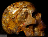 Pietersite Human Skull (Pie28)