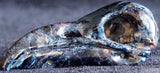 Pietersite Raven Skull