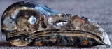 Pietersite Raven Skull