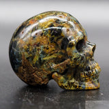 Pietersite Human Skull (Pie18)
