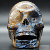 Pietersite Human Skull (Pie17)