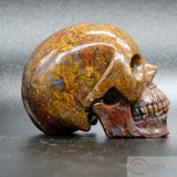 Pietersite Human Skull