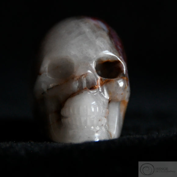 Pietersite and Agate Elongated Skull