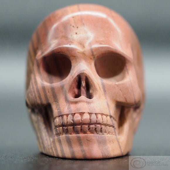 Print Stone Human Skull (PriS01)