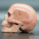 Print Stone Human Skull (PriS01)