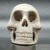 Pumice Human Skull (Pum01)