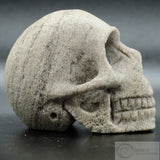 Pumice Human Skull (Pum01)