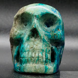 Quantum Silica Quatro Human Skull
